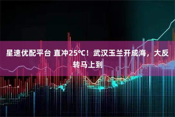 星速优配平台 直冲25℃！武汉玉兰开成海，大反转马上到